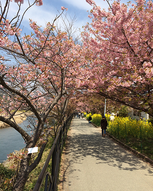 東京